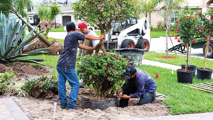 Landscaping & Horticulture Services in Mumbai, Lucknow, and all over India.